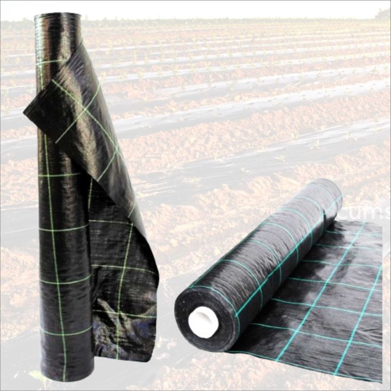 Casa si Gradina - Gradinarit si plante - Sere si solarii - Agrotextil 3.3 x 50 ml - Infinity.ro