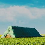 Casa si Gradina - Gradinarit si plante - Sere si solarii - Prelata impermeabila pentru baloti 10.4 x 25ml - Infinity.ro