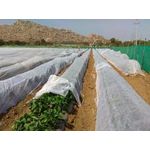 Casa si Gradina - Gradinarit si plante - Sere si solarii - Folie microporoasa Agril , 23 gr/mp, 15.6 x 50 m - Infinity.ro