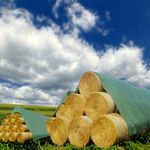 Electronice si Electrocasnice - Climatizare si sisteme de incalzire - Accesorii si consumabile climatizare - Prelata impermeabila pentru baloti 12 x 25 ml - Infinity.ro