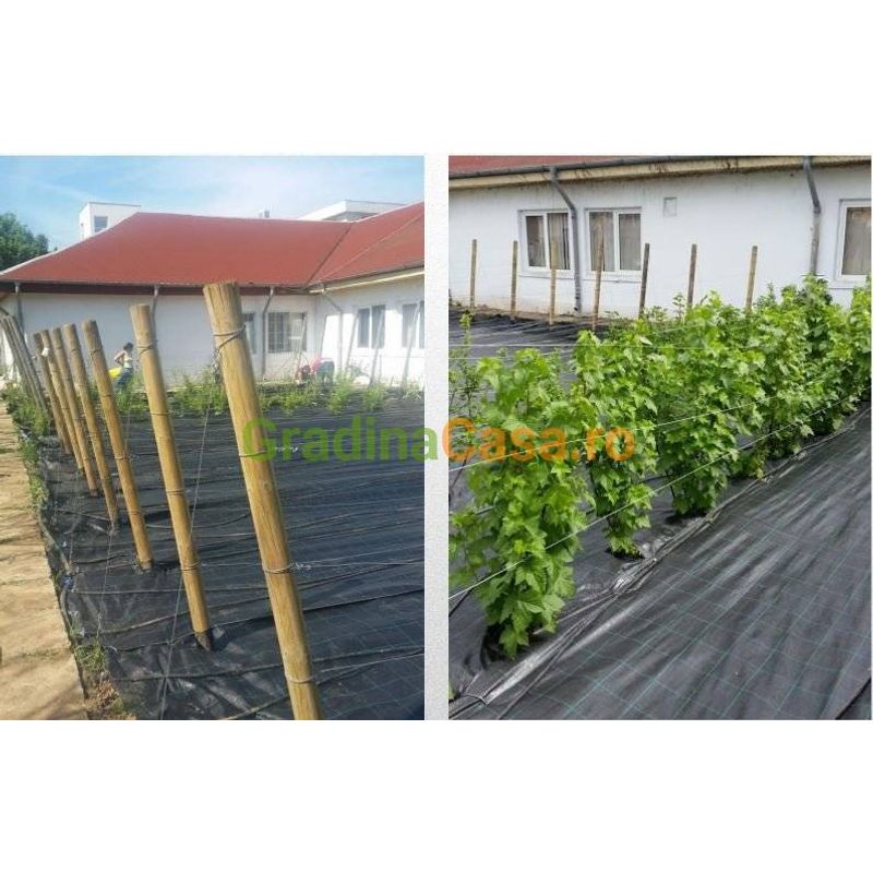 Casa si Gradina - Gradinarit si plante - Sere si solarii - Folie Agrotextil  1 x 50ml - Infinity.ro