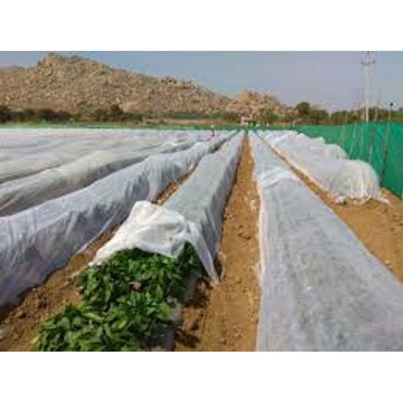 Casa si Gradina - Gradinarit si plante - Sere si solarii - Folie microporoasa Agryl, 19 gr/mp, 2.1 x 100 m - Infinity.ro