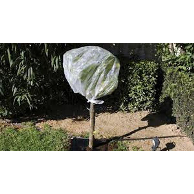 Casa si Gradina - Gradinarit si plante - Sere si solarii - Folie microporoasa Agryl, 19 gr/mp, 2.1 x 100 m - Infinity.ro
