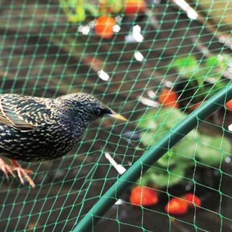 Casa si Gradina - Gradinarit si plante - Sere si solarii - Plasa protectie contra pasarilor/animalelor/rozatoarelor 16 gr/mp, 15x22 mm, 2 x 200 m - Infinity.ro