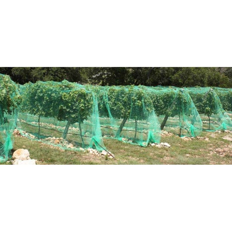 Casa si Gradina - Gradinarit si plante - Sere si solarii - Plasa protectie contra pasarilor/animalelor/rozatoarelor 16 gr/mp, 15x22 mm, 2 x 200 m - Infinity.ro