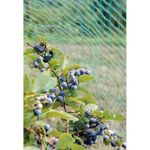 Casa si Gradina - Gradinarit si plante - Sere si solarii - Plasa protectie contra pasarilor/animalelor/rozatoarelor 16 gr/mp, 15x22 mm, 2 x 200 m - Infinity.ro