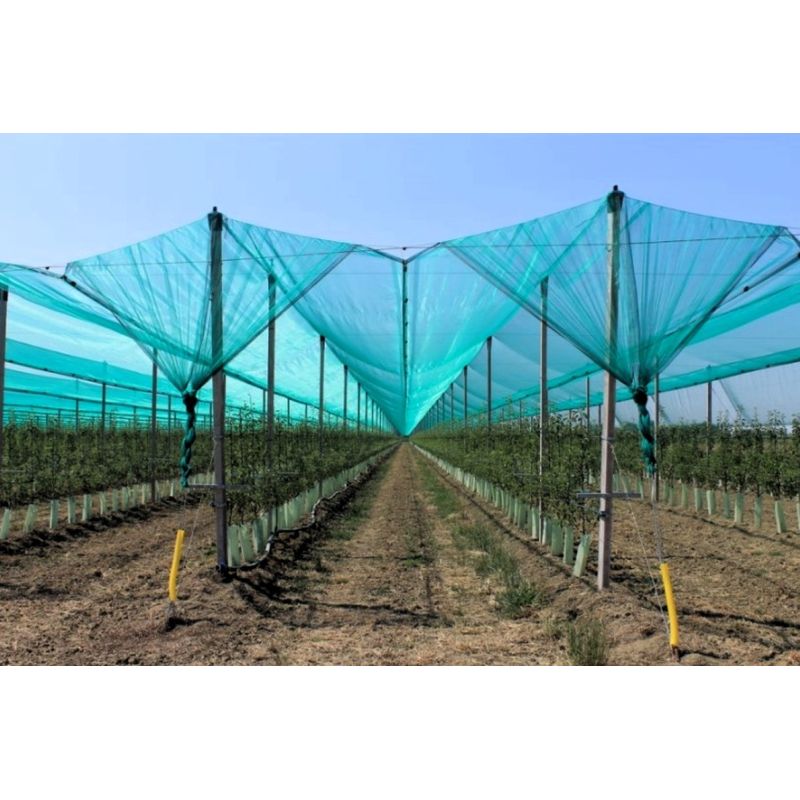 Casa si Gradina - Gradinarit si plante - Sere si solarii - Plasa protectie antigrindina 2x10 ml, 45 gr/m2 - Infinity.ro