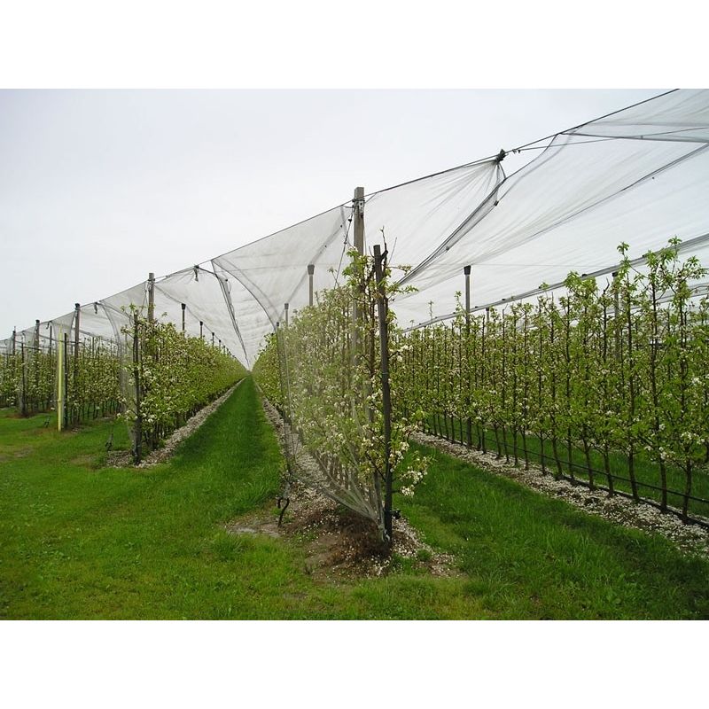 Casa si Gradina - Gradinarit si plante - Sere si solarii - Plasa protectie antigrindina 4x10 ml, 34 gr/m2 - Infinity.ro