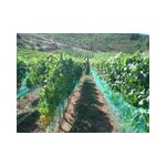 Casa si Gradina - Gradinarit si plante - Sere si solarii - Plasa Protectie Impotriva Pasarilor 12 m x 200ml, 16 gr/mp - Infinity.ro