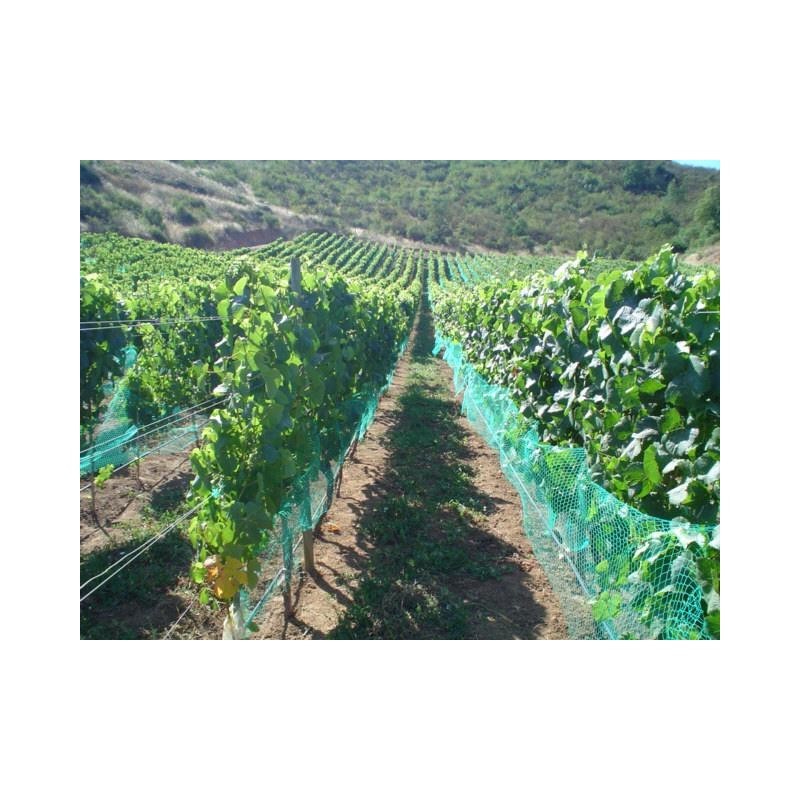 Casa si Gradina - Gradinarit si plante - Sere si solarii - Plasa Protectie Impotriva Pasarilor 12 m x 200ml, 16 gr/mp - Infinity.ro