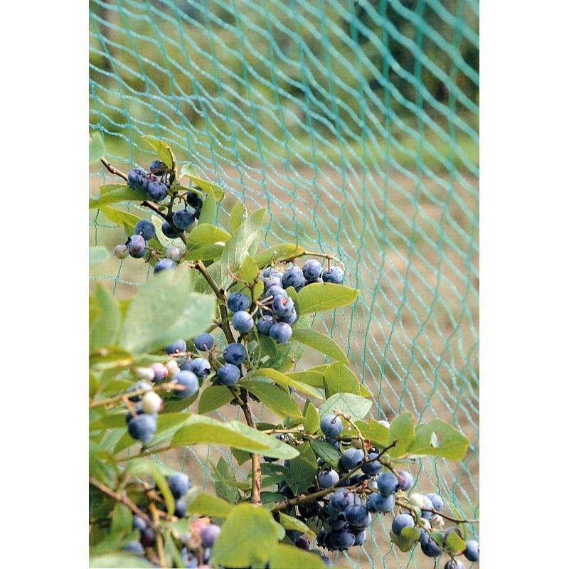 Casa si Gradina - Gradinarit si plante - Sere si solarii - Plasa Protectie Impotriva Pasarilor 12 m x 200ml, 16 gr/mp - Infinity.ro