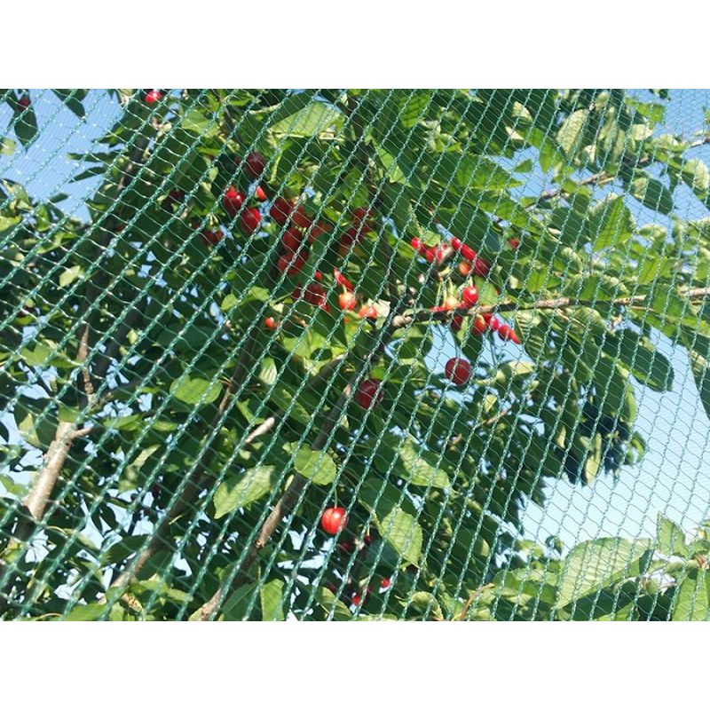 Casa si Gradina - Gradinarit si plante - Sere si solarii - Plasa Protectie Impotriva Pasarilor 8m x 200ml, 16 gr/mp - Infinity.ro