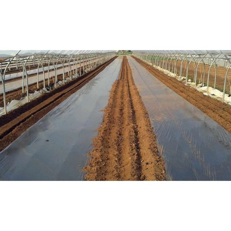 Casa si Gradina - Gradinarit si plante - Sere si solarii - Folie mulcire maro , 20 microni  1.0m x 1500m - Infinity.ro