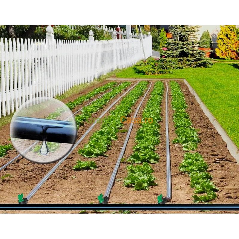 Casa si Gradina - Gradinarit si plante - Instalatii si accesorii pentru irigatii - Furtunuri de gradina si accesorii - Banda Picurare LifeTape 8mil, 1800ml/rola, Distanta dintre picuratori 30cm - Infinity.ro