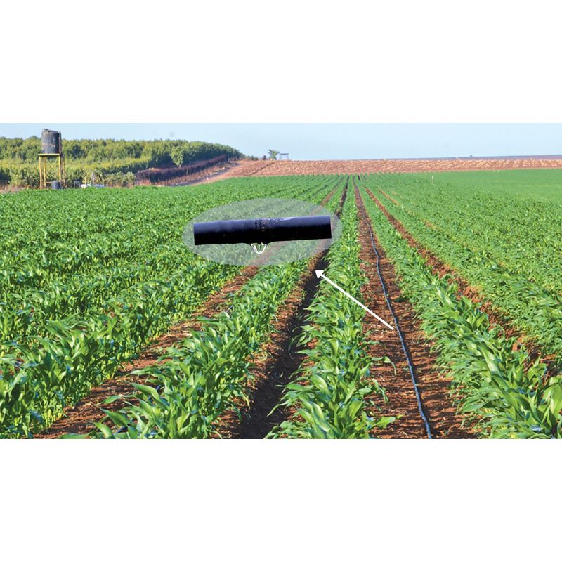 Casa si Gradina - Gradinarit si plante - Instalatii si accesorii pentru irigatii - Furtunuri de gradina si accesorii - Banda Picurare pentru porumb, 6mil, 2400 ml/rola, Distanta dintre picuratori 30cm - Infinity.ro