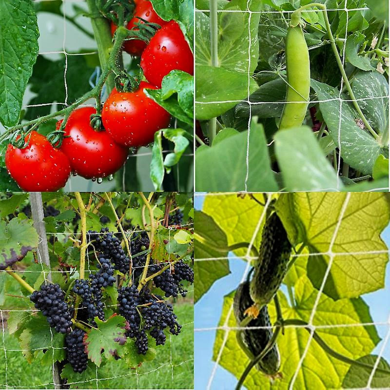 Casa si Gradina - Gradinarit si plante - Sere si solarii - Plasa plante cataratoare , 15X17 cm, alba, 1.53 x 500 m - Infinity.ro