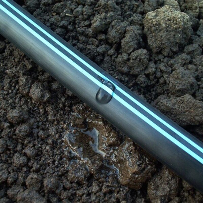 Casa si Gradina - Gradinarit si plante - Instalatii si accesorii pentru irigatii - Furtunuri de gradina si accesorii - Banda Picurare 6mil, 3000ml/rola, Distanta dintre picuratori 10cm - Infinity.ro