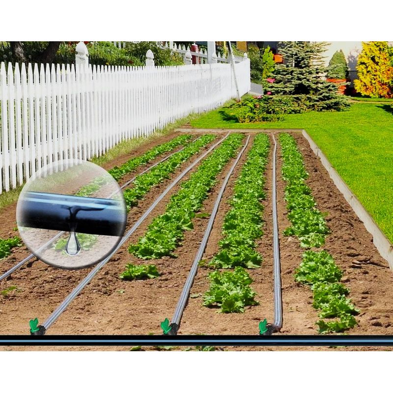 Casa si Gradina - Gradinarit si plante - Instalatii si accesorii pentru irigatii - Furtunuri de gradina si accesorii - Banda Picurare 8mil, 2300ml/rola, Distanta dintre picuratori 10cm - Infinity.ro