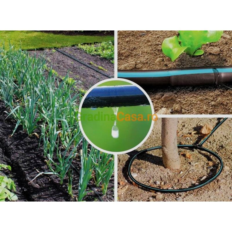 Casa si Gradina - Gradinarit si plante - Instalatii si accesorii pentru irigatii - Furtunuri de gradina si accesorii - Banda Picurare 8mil, 2300ml/rola, Distanta dintre picuratori 10cm - Infinity.ro