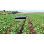 Casa si Gradina - Gradinarit si plante - Instalatii si accesorii pentru irigatii - Accesorii irigare - Banda Picurare pentru porumb, 6mil, 2300 ml/rola, Distanta dintre picuratori 30cm - Infinity.ro