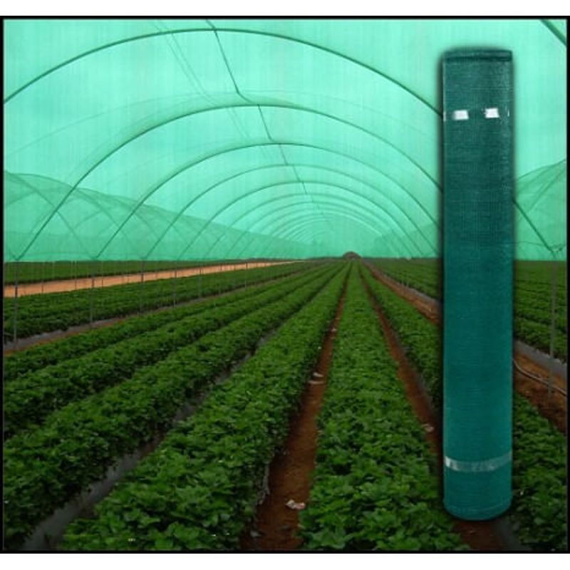 Casa si Gradina - Gradinarit si plante - Sere si solarii - Plasa Verde 2m latime x 50m lungime Umbrire 50% - Infinity.ro