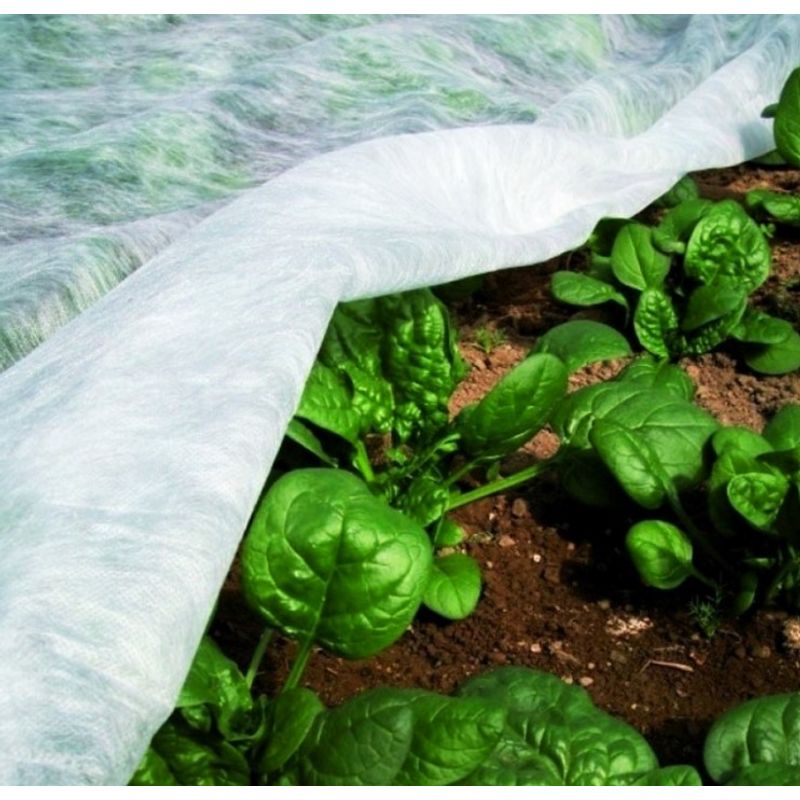 Casa si Gradina - Gradinarit si plante - Sere si solarii - Folie microporoasa Agryl Plus, 19 gr/mp, 15.8 x 100 m - Infinity.ro