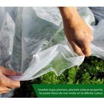 Casa si Gradina - Gradinarit si plante - Sere si solarii - Folie microporoasa Agryl Plus, 19 gr/mp, 25.25 x 100 m - Infinity.ro