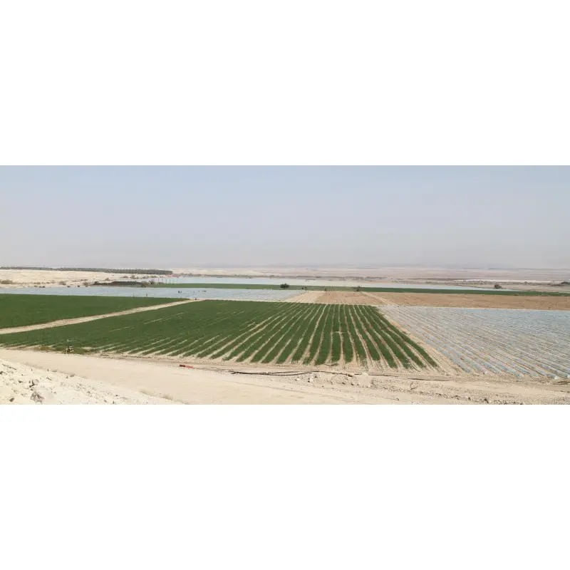 Casa si Gradina - Gradinarit si plante - Sere si solarii - Tunel de protectie, 0,5 x 3 m Kit Complet - Infinity.ro