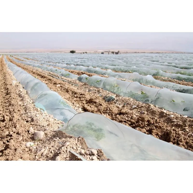 Casa si Gradina - Gradinarit si plante - Sere si solarii - Tunel de protectie, 0,5 x 3 m Kit Complet - Infinity.ro