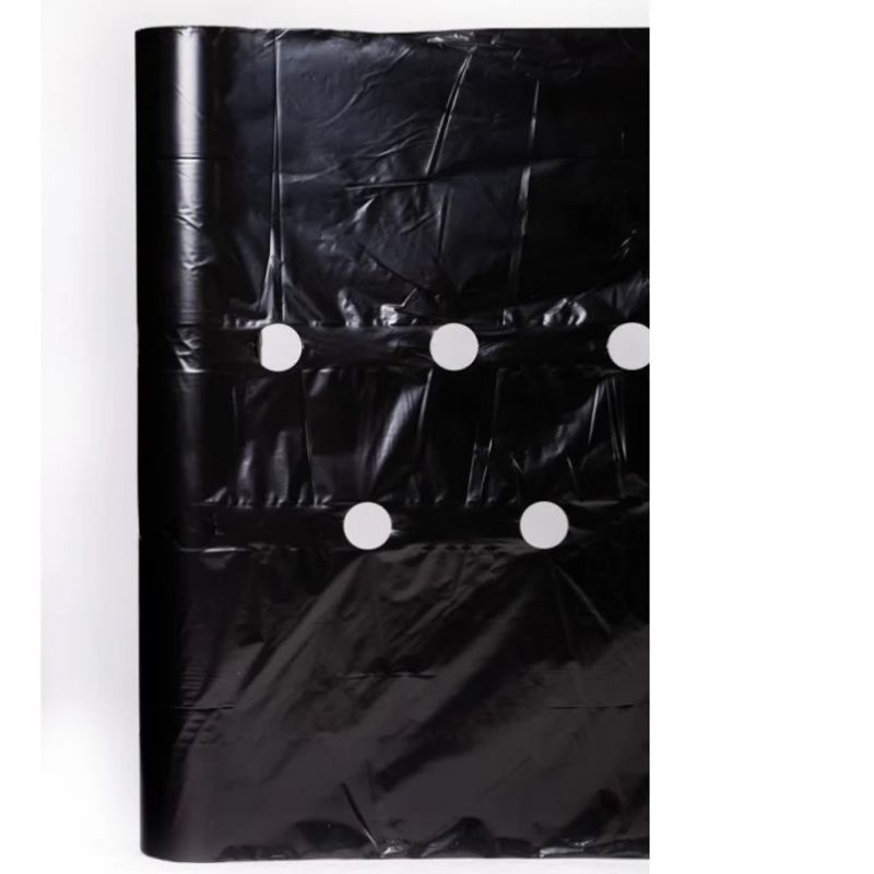 Casa si Gradina - Gradinarit si plante - Sere si solarii - Folie mulcire pentru capsuni, perforata in zig-zag, 1.2m * 50m / 30 mic / negru - Punga - Infinity.ro