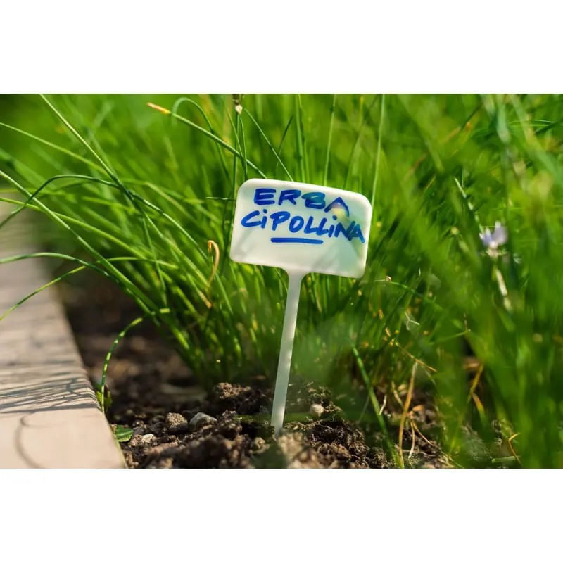 Casa si Gradina - Gradinarit si plante - Sere si solarii - Tablita marcaj 6 x h 34 cm, 10 buc/set - Infinity.ro