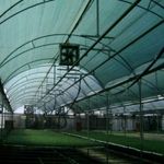 Casa si Gradina - Gradinarit si plante - Sere si solarii - Plasa umbrire 35%, verde, 2 m inaltime x 50 m lungime - Infinity.ro