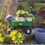Casa si Gradina - Constructii - Depozitare, transport si protectie - Echipamente pentru transport si ridicat - Carut de transport pentru gradina 3 in 1 SilverTools S10805 300 kg - Infinity.ro