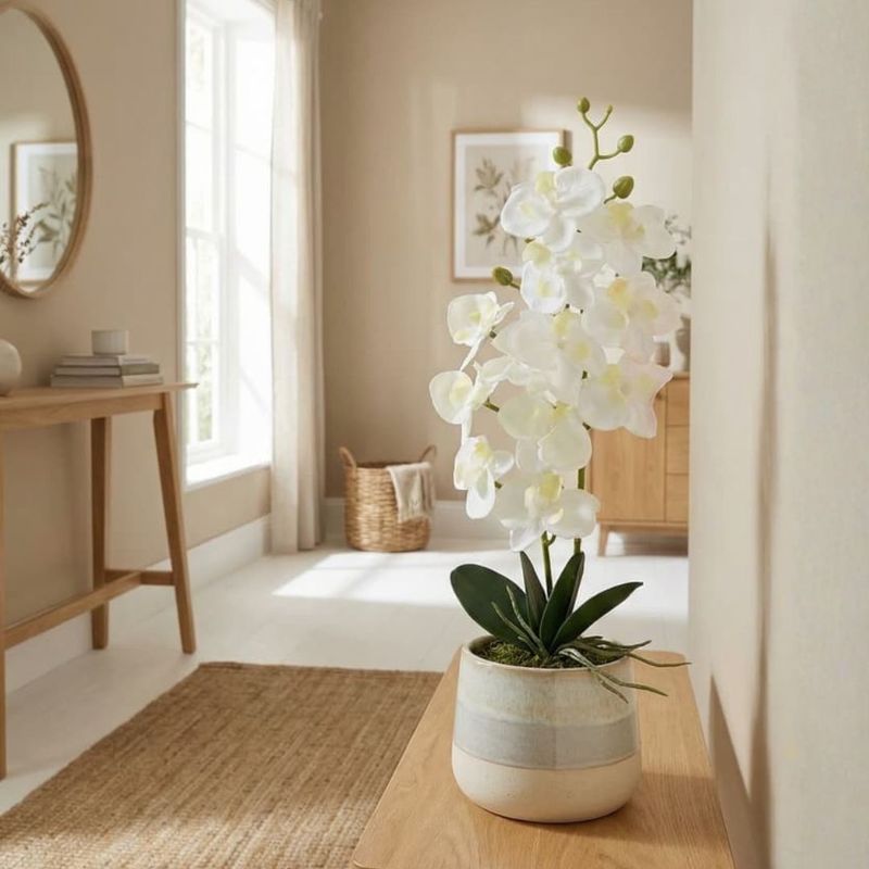 Casa si Gradina - Decoratiuni - Obiecte decorative - Plante artificiale - Planta artificiala Orhidee 40 cm, cu flori albe si frunze verzi, pentru interior - Infinity.ro