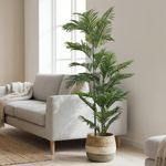 Casa si Gradina - Decoratiuni - Obiecte decorative - Plante artificiale - Planta artificiala Areca 150 cm, cu frunze verzi lungi si detalii realiste, pentru interior, ghiveci negru inclus - Infinity.ro
