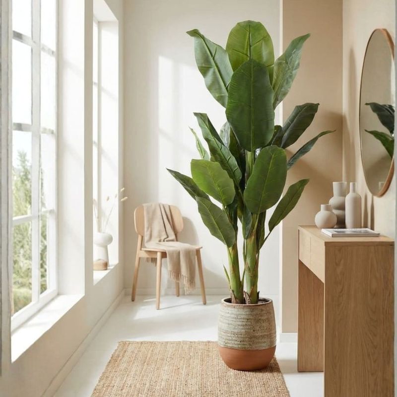 Casa si Gradina - Decoratiuni - Obiecte decorative - Plante artificiale - Planta artificiala Bananier 165 cm, cu 23 frunze verzi cu detalii realiste, pentru interior, in ghiveci negru - Infinity.ro