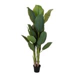 Casa si Gradina - Decoratiuni - Obiecte decorative - Plante artificiale - Planta artificiala Bananier 165 cm, cu 23 frunze verzi cu detalii realiste, pentru interior, in ghiveci negru - Infinity.ro