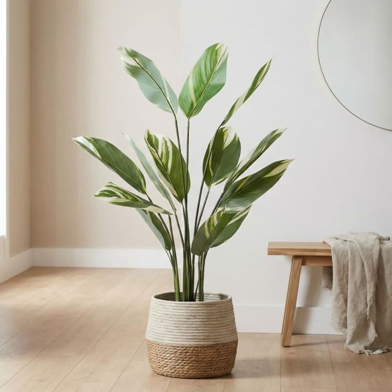 Casa si Gradina - Decoratiuni - Obiecte decorative - Plante artificiale - Planta artificiala Calathea 118 cm, cu frunze verzi variegate, aspect realist, pentru interior, ghiveci negru inclus - Infinity.ro