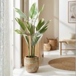 Casa si Gradina - Decoratiuni - Obiecte decorative - Plante artificiale - Planta artificiala Calathea 118 cm, cu frunze verzi variegate, aspect realist, pentru interior, ghiveci negru inclus - Infinity.ro