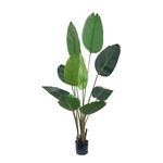 Casa si Gradina - Decoratiuni - Obiecte decorative - Plante artificiale - Planta artificiala Strelitzia 160 cm - Pasarea Paradisului - cu 10 frunze verzi cu detalii realiste, in ghiveci negru - Infinity.ro