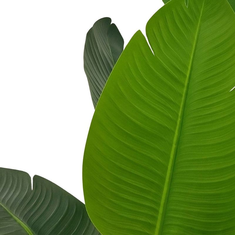 Casa si Gradina - Decoratiuni - Obiecte decorative - Plante artificiale - Planta artificiala Strelitzia 160 cm - Pasarea Paradisului - cu 10 frunze verzi cu detalii realiste, in ghiveci negru - Infinity.ro