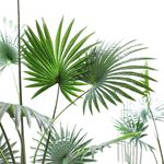 Casa si Gradina - Decoratiuni - Obiecte decorative - Plante artificiale - Planta artificiala Palmier 160 cm, bogata in frunze verzi, tulpini cu insertii de material natural, ghiveci negru inclus - Infinity.ro