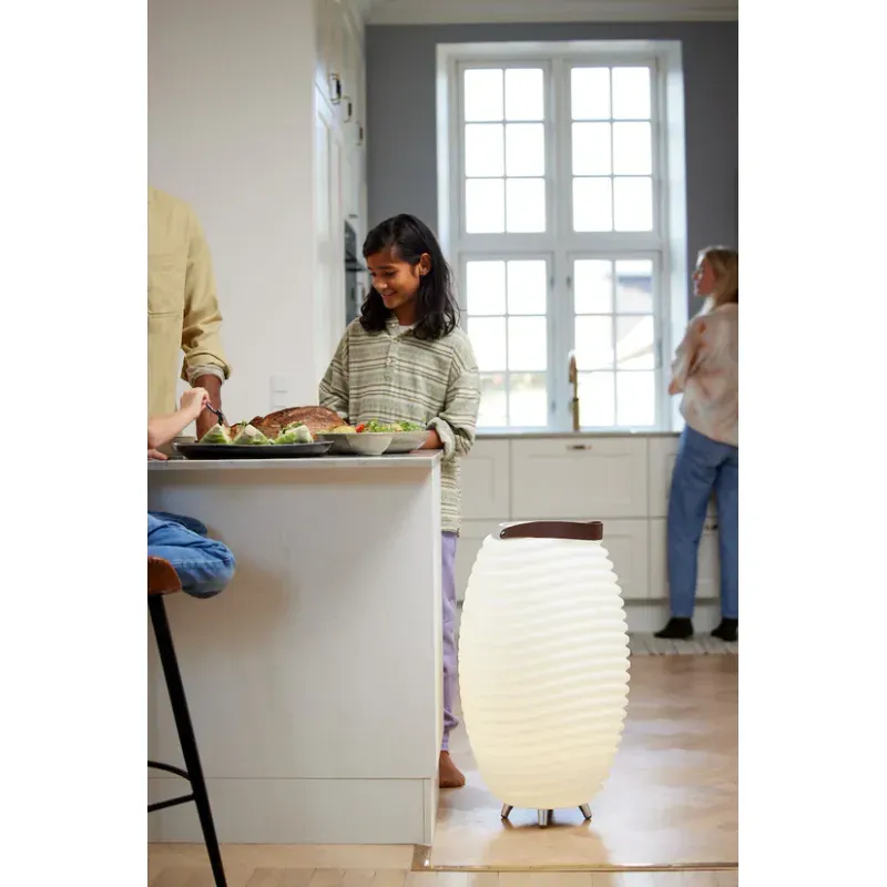 TV, Audio-Video si Foto - Portabile audio - Boxe portabile - Boxa portabila Kooduu Synergy 65 Large, lampa LED cu difuzor si racitor bauturi - Infinity.ro