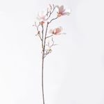 Casa si Gradina - Decoratiuni - Obiecte decorative - Plante artificiale - Planta artificiala Magnolia Beige 85cm - Infinity.ro