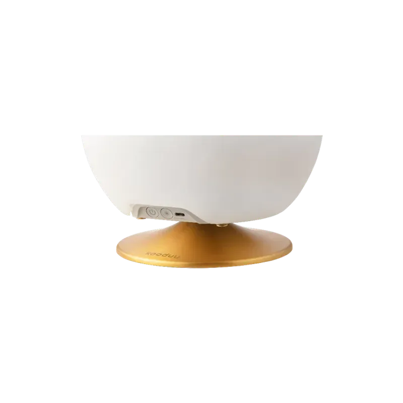 TV, Audio-Video si Foto - Portabile audio - Boxe portabile - Boxa portabila Kooduu Atmos Brass, lampa LED cu difuzor si racitor bauturi - Infinity.ro