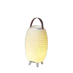 TV, Audio-Video si Foto - Portabile audio - Boxe portabile - Boxa portabila Kooduu Synergy 35 Small, lampa LED cu difuzor si racitor bauturi - Infinity.ro