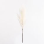 Casa si Gradina - Decoratiuni - Obiecte decorative - Plante artificiale - Planta artificiala Pampas Ecru 68cm - Infinity.ro