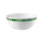 Casa si Gradina - Bucatarie si vesela - Vesela si tacamuri - Farfurii si boluri - Bol Natura Verde CAREWARE Bowl D120 Bormioli Rocco - Infinity.ro