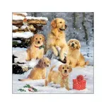 Casa si Gradina - Textile si covoare - Textile bucatarie - Servete si naproane - Servetele masa 33x33cm Golden retriever puppies FSC Mix - Infinity.ro