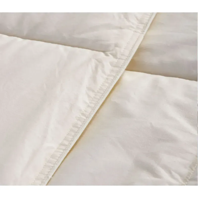 Casa si Gradina - Textile si covoare - Perne si pilote - Pilote - Pilota Lana Pure Wool Single Beige 160X220 - Infinity.ro